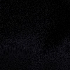 y0k