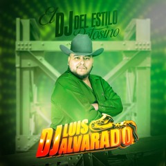 Luis Alvarado Dj SLP