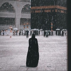 آلاء الفيومي