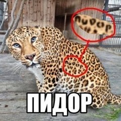 true