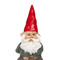 gnome