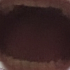 lilemptyex