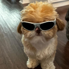 jonnykwok