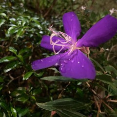 something to live for