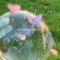 ☘️マイキー𓏲⋆.