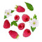 berry