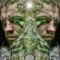 TheNorthernPoet