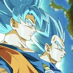 AGL SSGSS Goku & SSGSS Vegeta