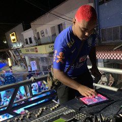 DJ MAURICAO PERFIL 2 [ PITBULL DAS COMUNIDADE ]