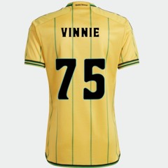 @vinnie_vii