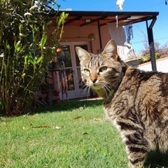 Jero