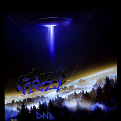 vigzy.dnb