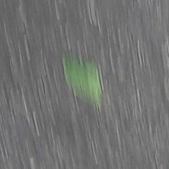 セックスマシン