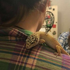 SleepyWizard
