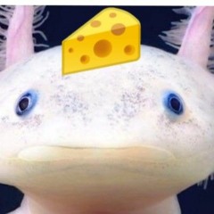KING AXOLOTL