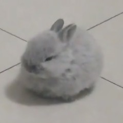 Bunno