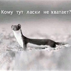 NЮ. Асия - Останься (Swerodo Remix).mp3