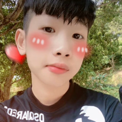 Lú Như Con Cú