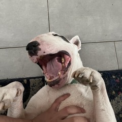 só