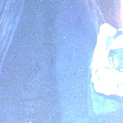 dietpepsi2008