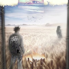 WealthyEd