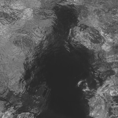 The Disaster Recovery Project