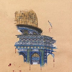 هبة محمود