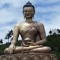 Tashi Dorji