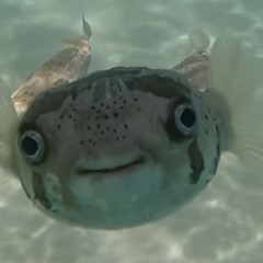 milo"betinasialan"👼🏻