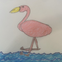 Ferry de roze flamingo