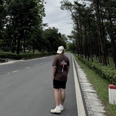 Duc Anh Luu
