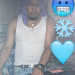 ❄️IcerGee🩵
