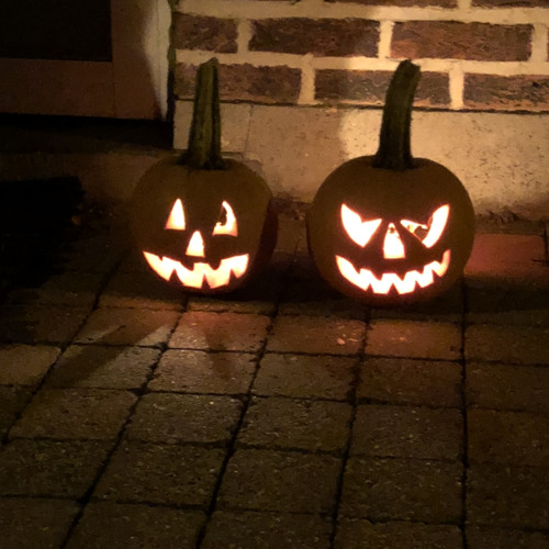 Dimitri Andreas - Palm Reef