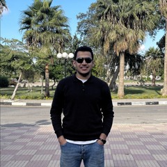 محمد محسن
