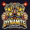 Dynamite Concept