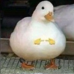Shy Duck😩😩