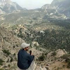 Ali Mughal
