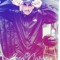 Johnny Mariscal