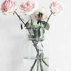Eman Elshobary