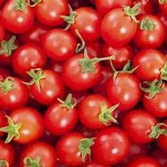 tomato
