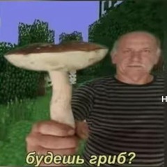 GOGA PULIMETIK POD