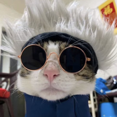 Vũ Đình Tuấn