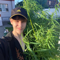 леха шиииишкин