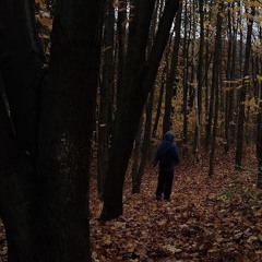 мц закодирован