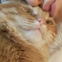 meowmeow25