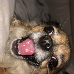 KB