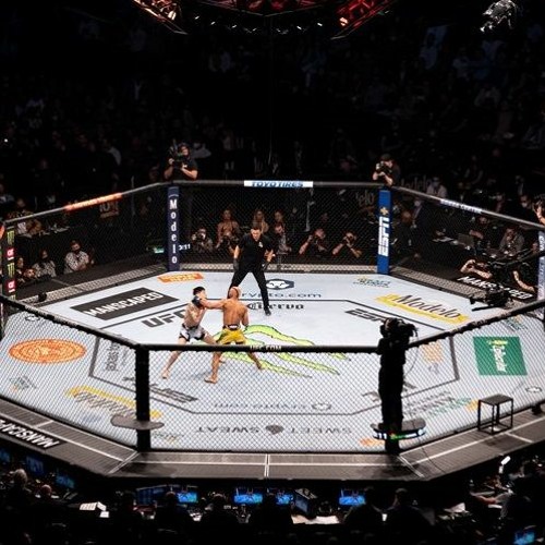 Jasmine Jasudavicius vs Priscila Cachoeira LIVE UFC Official 20 Jan 2024