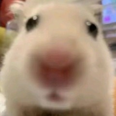 오리