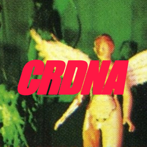 CRDNA’s avatar