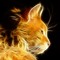 Fire Cat